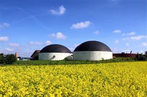 Biogas Power Plants.